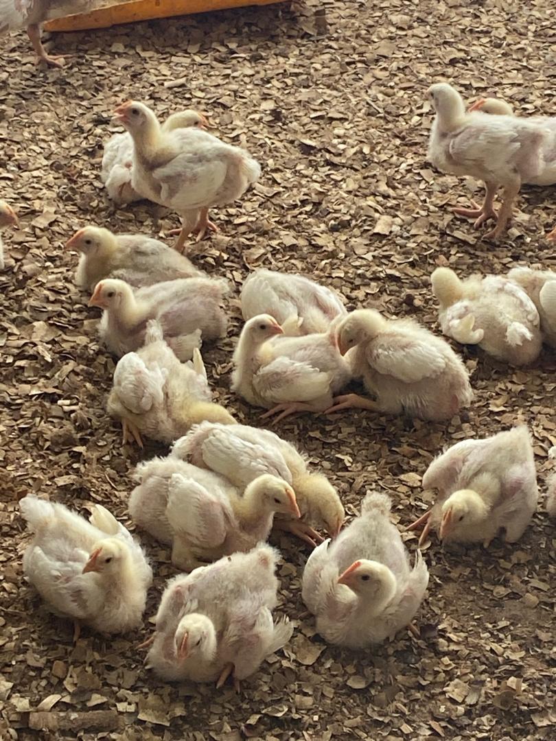 Yosemite National Park