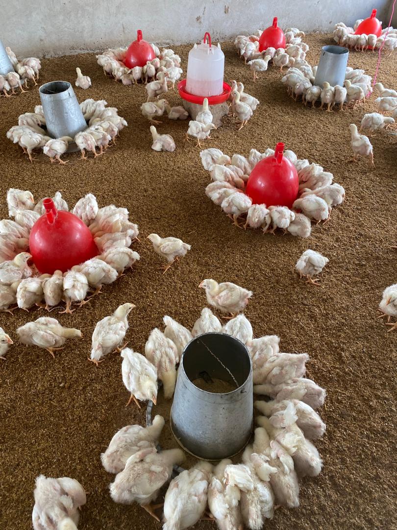 Yosemite National Park